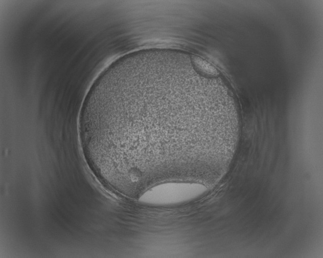 X0000067481283200604211623