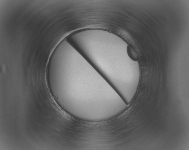 X0000067481284200604211623