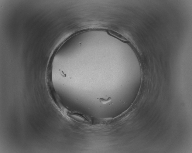 X0000067481285200604211623