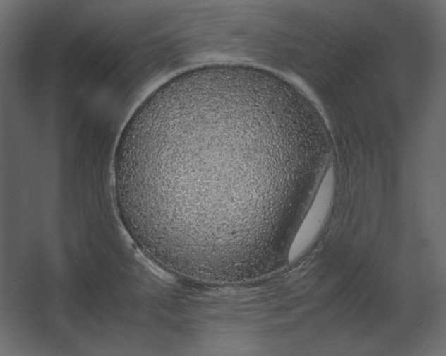 X0000067481287200604211623