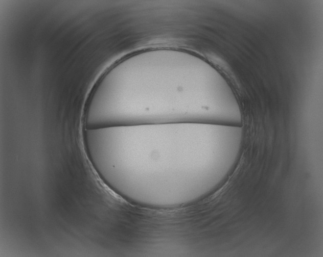 X0000067481288200604211623