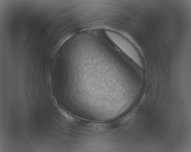 X0000067481289200604211623