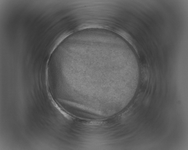 X0000067481290200604211623