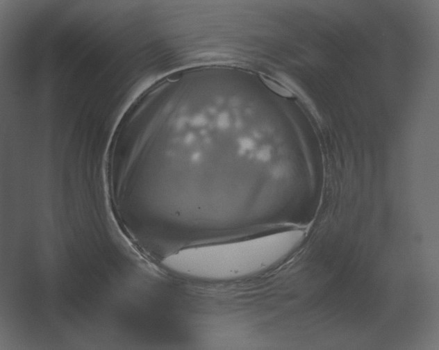 X0000067481291200604211623