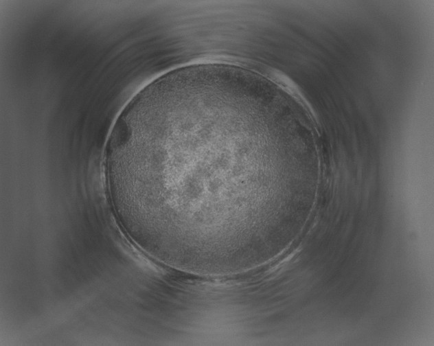 X0000067481292200604211623