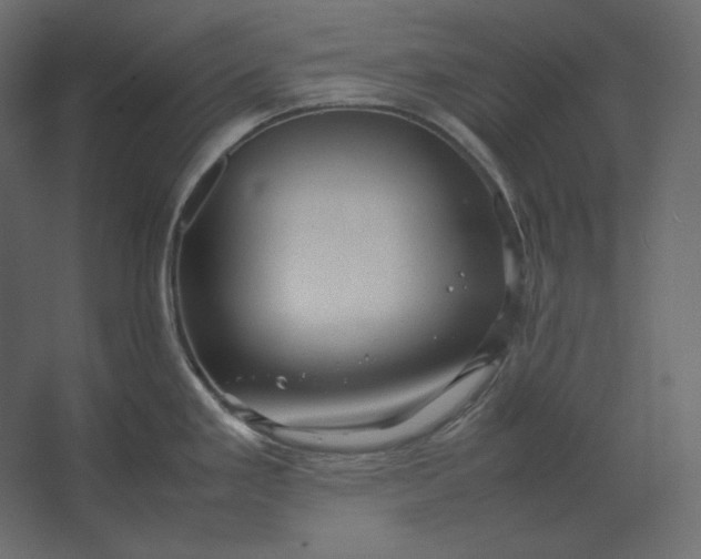 X0000067481293200604211623