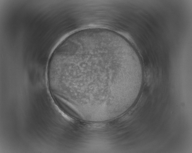 X0000067481294200604211623