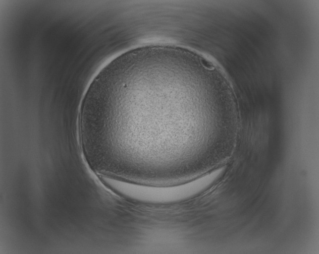 X0000067481295200604211623