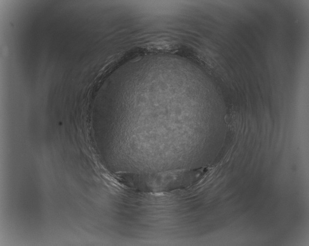 X0000067481297200604211622