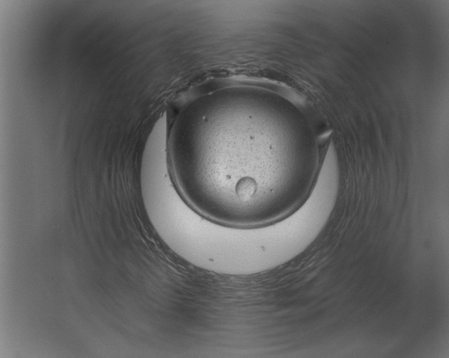 X0000067481298200604211622