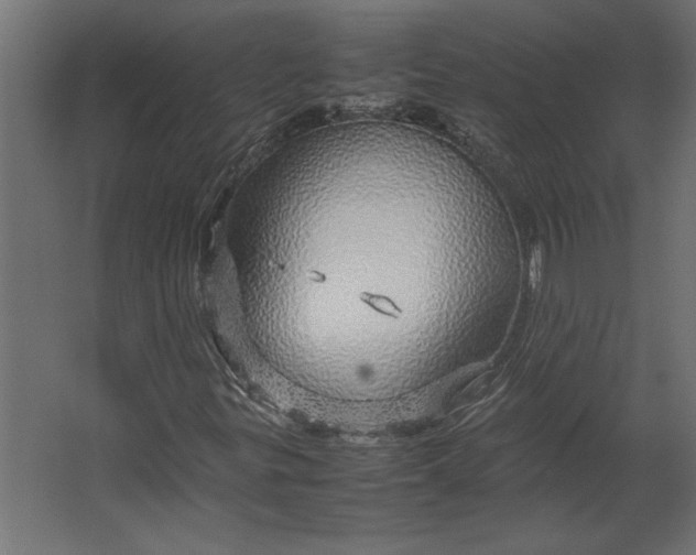 X0000067481299200604211622