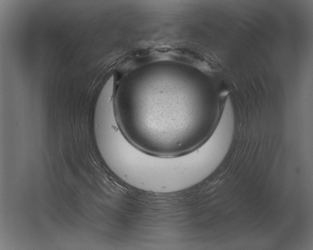 X0000067481300200604211622