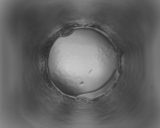 X0000067481302200604211622