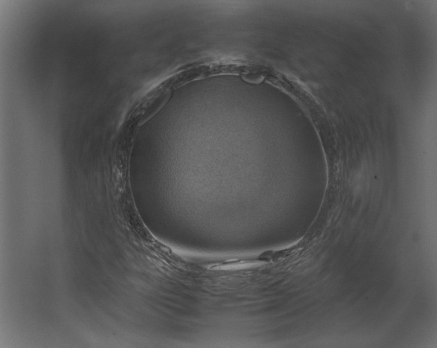 X0000067481303200604211622