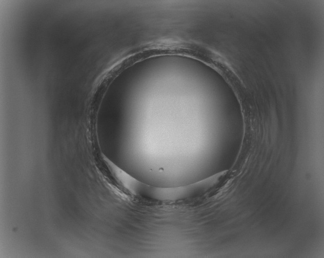 X0000067481304200604211622