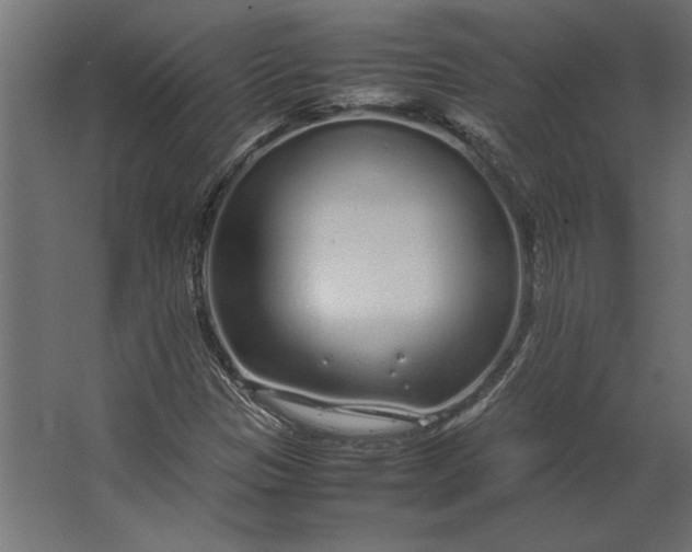 X0000067481305200604211622