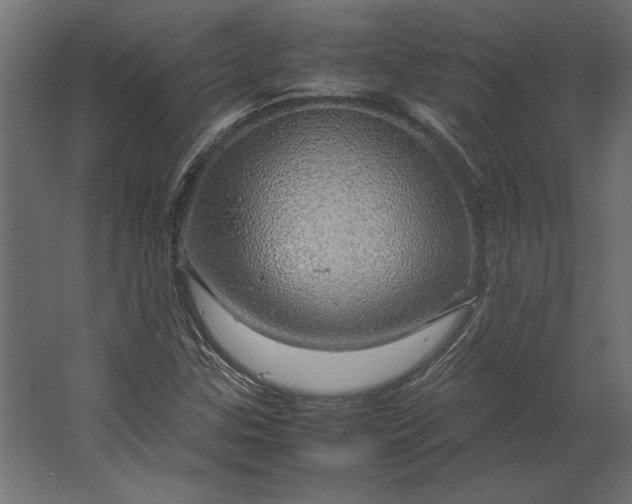 X0000067481307200604211622