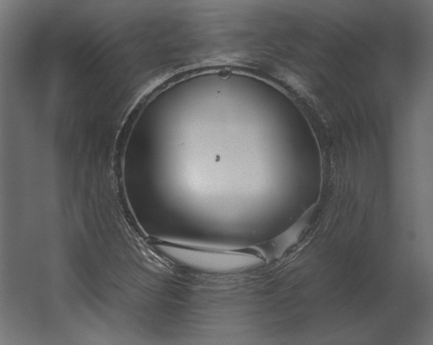 X0000067481308200604211622