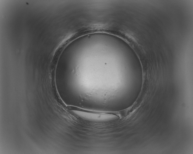 X0000067481309200604211622