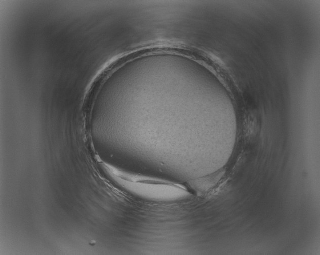 X0000067481310200604211622