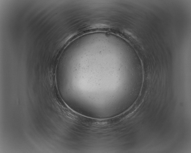 X0000067481313200604211622