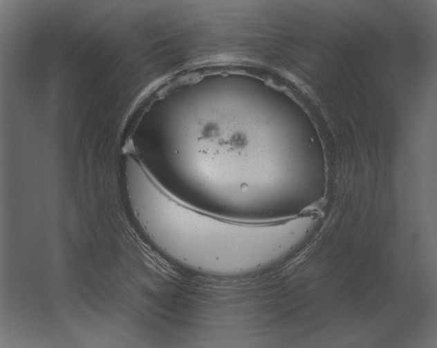 X0000067481314200604211623