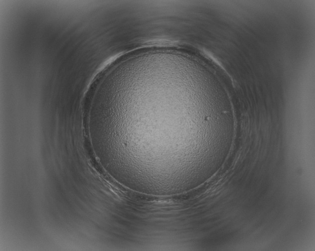 X0000067481315200604211623