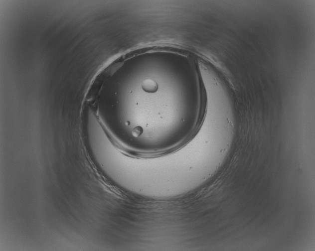 X0000067481316200604211623