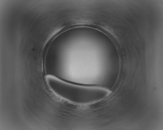 X0000067481317200604211623