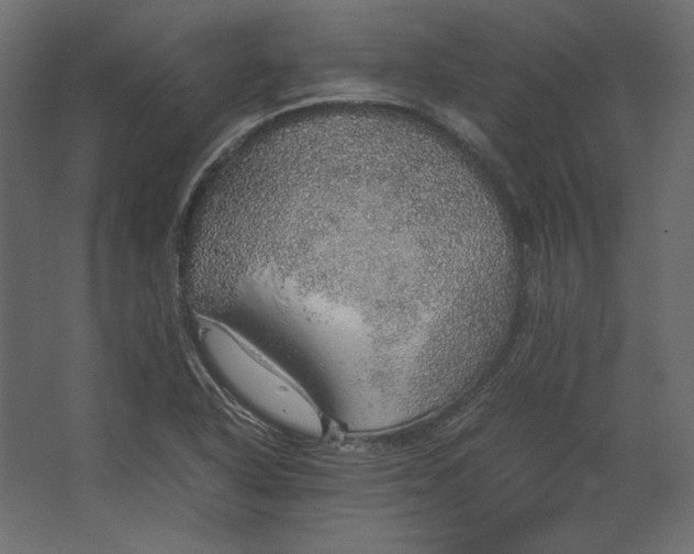 X0000067481318200604211623