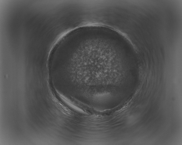 X0000067481319200604211623