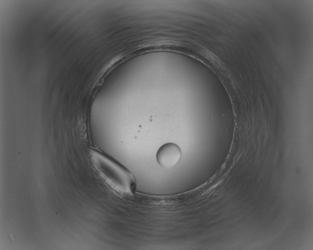 X0000067481321200604211623