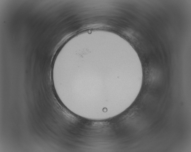 X0000067481322200604211623