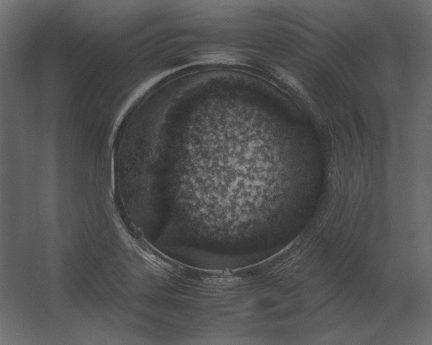 X0000067481323200604211623