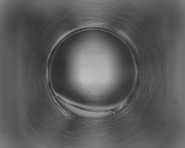 X0000067481324200604211623