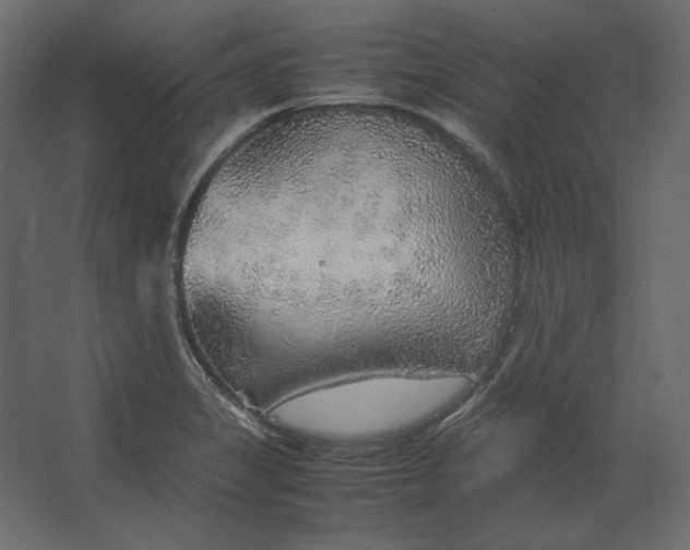 X0000067481325200604211623