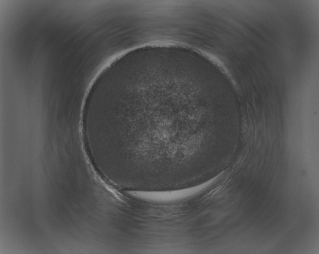 X0000067481327200604211623