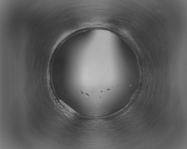 X0000067481328200604211623