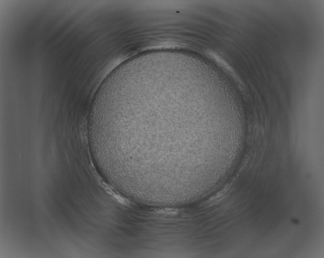 X0000067481329200604211623