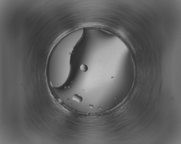 X0000067481330200604211623