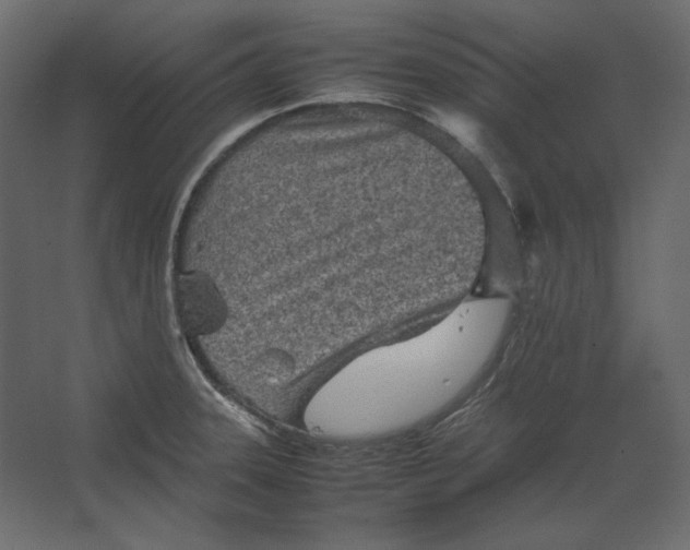 X0000067481331200604211623