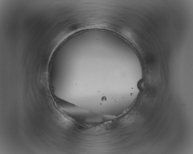 X0000067481332200604211623