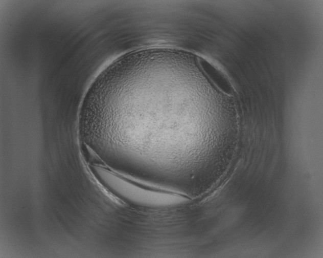 X0000067481333200604211623