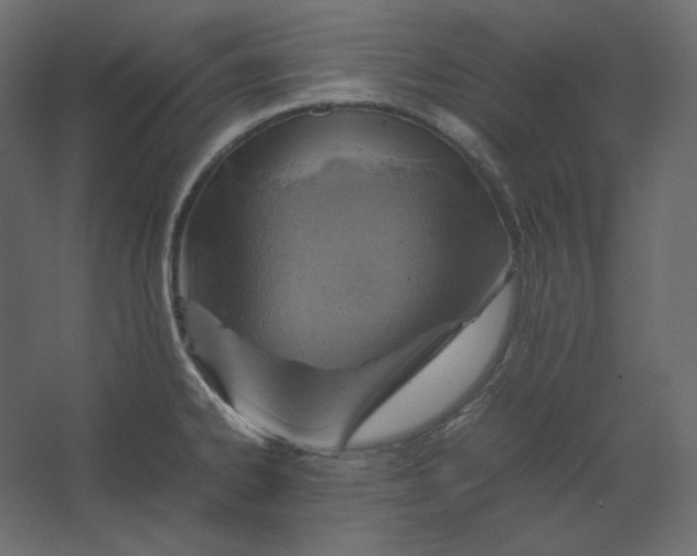 X0000067481334200604211623