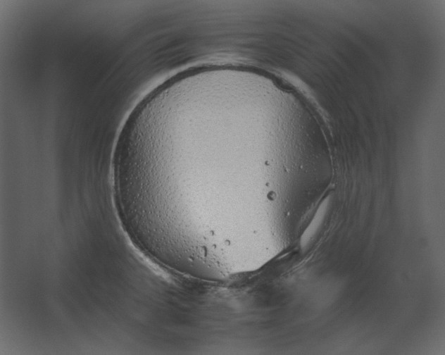 X0000067481335200604211623