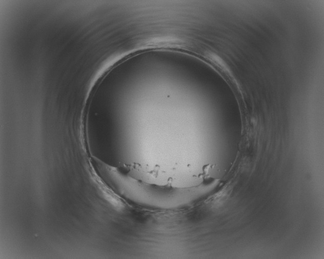 X0000067481336200604211623