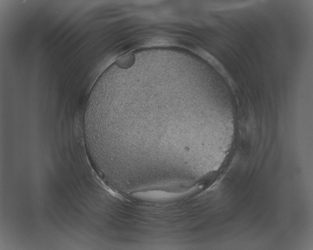 X0000067481337200604211623