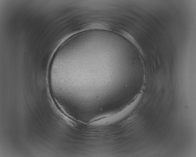 X0000067481339200604211623