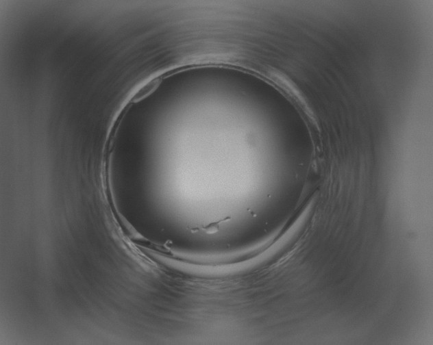 X0000067481340200604211623