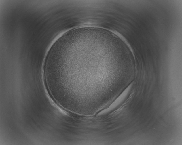 X0000067481341200604211623